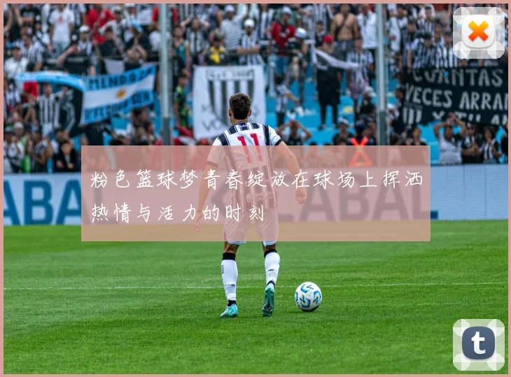 粉色篮球梦青春绽放在球场上挥洒热情与活力的时刻