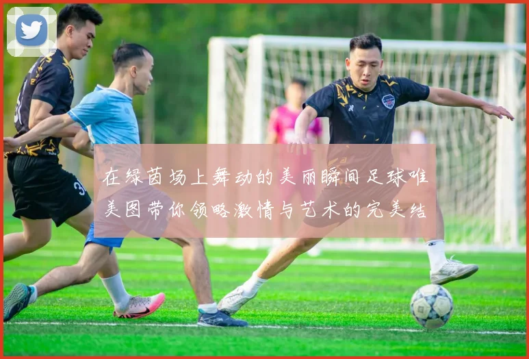 在绿茵场上舞动的美丽瞬间足球唯美图带你领略激情与艺术的完美结合
