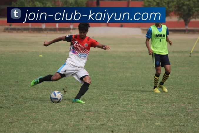 开云平台生态图